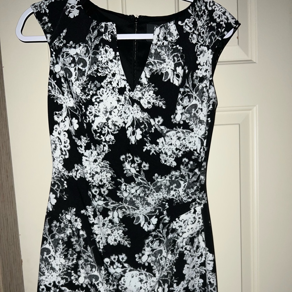 Adrianna Papell beautiful dress 0